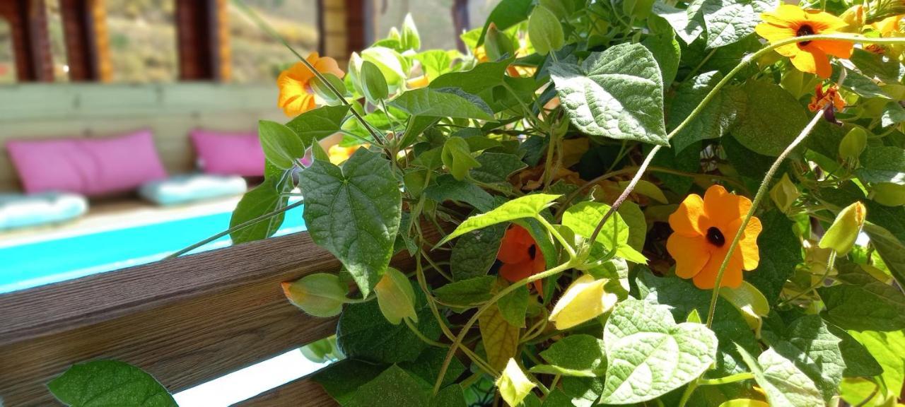Finca Mariposa Mariposaholidays 네르하 외부 사진