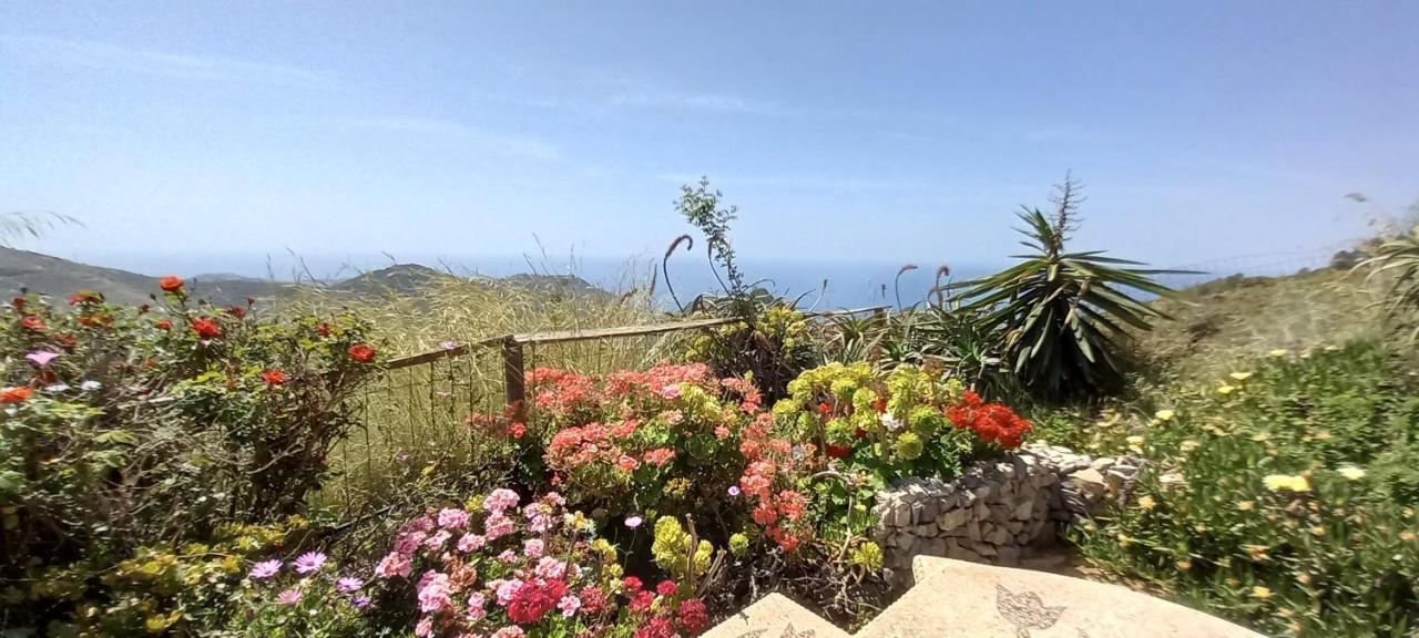 Finca Mariposa Mariposaholidays 네르하 외부 사진