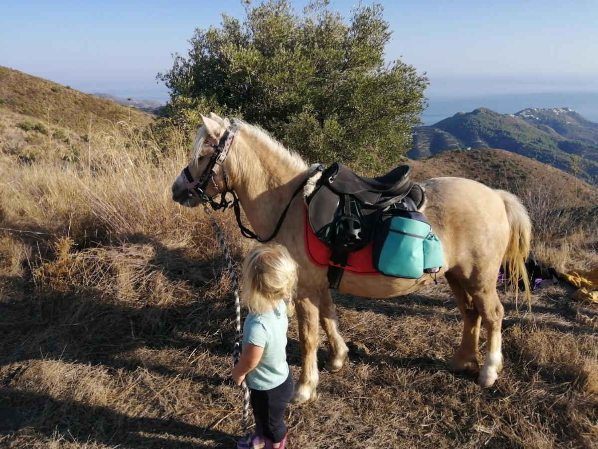 Finca Mariposa Mariposaholidays 네르하 외부 사진